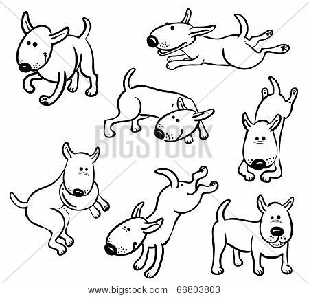 Dog Character