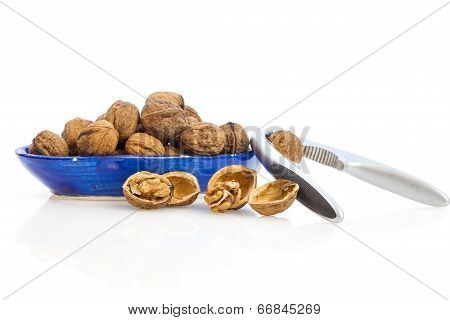 Walnuts and nutcracker