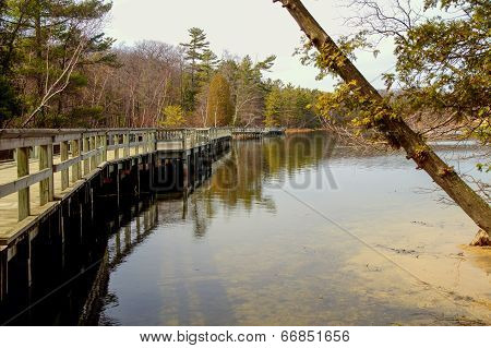 Peaceful Walk