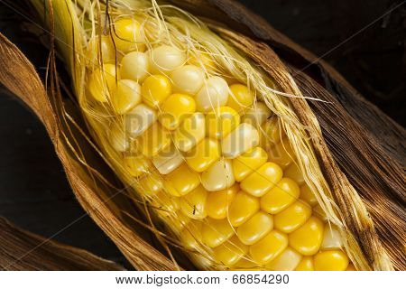 Homade Grilled Corn On The Cob