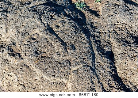 Easter Island Petroglyph