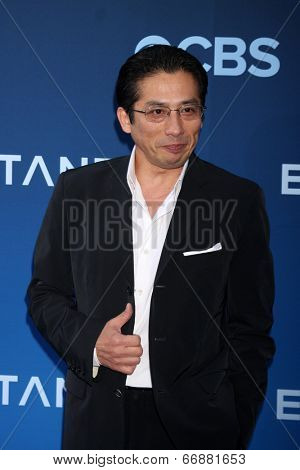 LOS ANGELES - JUN 16:  Hiroyuki Sanada at the 