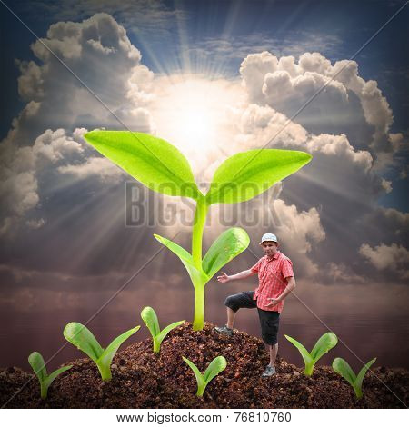 Successful farmer and his big vegetables. Jack and the beanstalk saying.