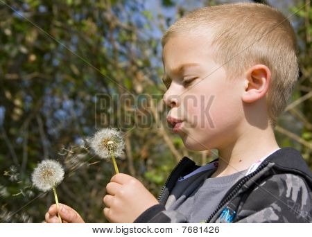 sechs Jahre alten Jungen weht die Samen von einer Löwenzahn Uhr im Frühlingssonnenschein