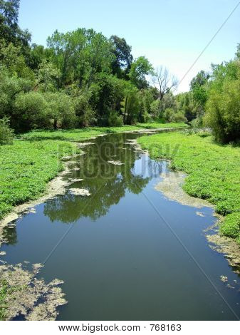 Little Stream 