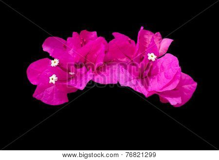 Hot pink bougainvillea flower garland