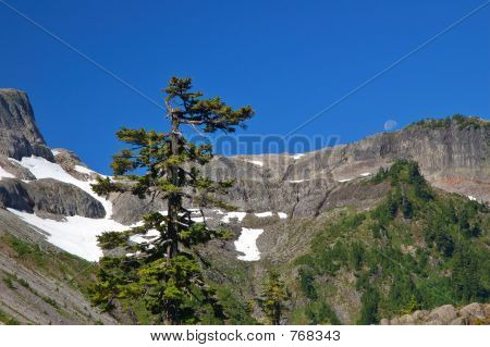 vista sulle montagne