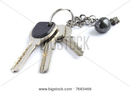 Tasti isolate on white