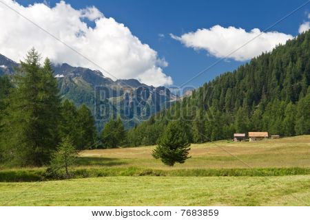 Alpejski krajobraz w dolinie Pejo