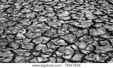 Drought Land, Warming Global