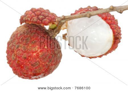 Frugt Litchi