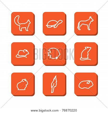 Pets