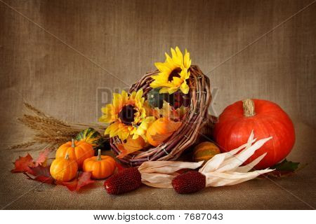Cornucopia with pumpkins