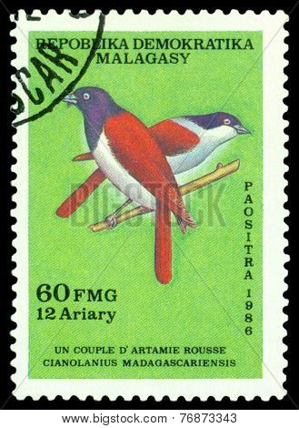 Vintage  Postage Stamp. Bird Cianolanius Madagascariensis.