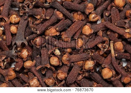 Red brown seed clove(loong india) Syzygium aromaticum