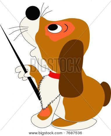 Cane e matematica