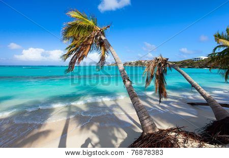 Beautiful beach framed with palms on Caribbean island of Anguilla