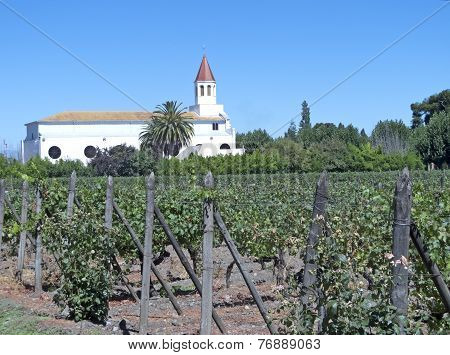 Wine Industry In Maipo Valley, Chile