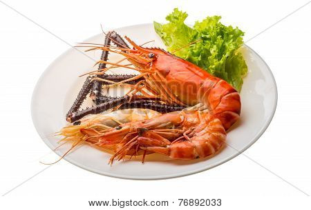 Giant Freshwater Prawn And King Prawns