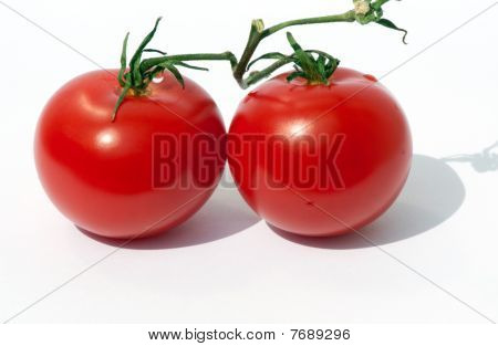 Vid frescos tomates maduros con vapor y sombras creativas