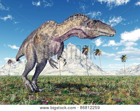 Dinosaur Acrocanthosaurus