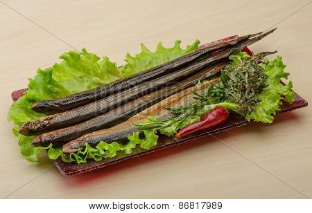 Lamprey