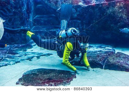 Huge Aquarium In Dubai. Diver Feeding Fishes.