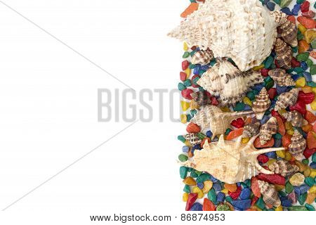 Colorful Background Made Of Shells Isolated Over White