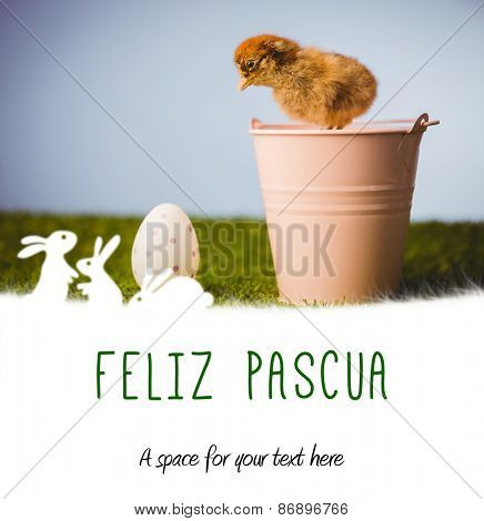 feliz pasqua against stuffed chick in pink bucket