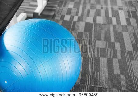 Blue Gym Fit-ball Split Tone