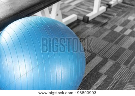 Blue Gym Ball Split Tone