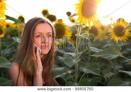 Frustrated girl talking on the phone on among sunflowers at sunset