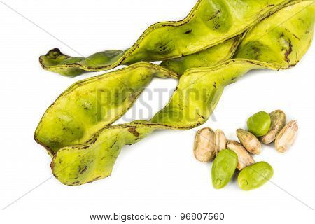 Petai seeds with the its skin, seed pods and cluster at background
