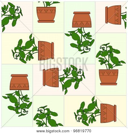 Potted Plant. Pattern.