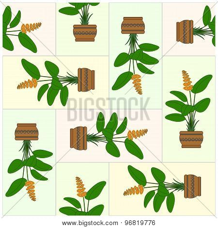 Potted Plant. Pattern.