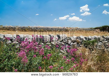 Dry Stone Wall