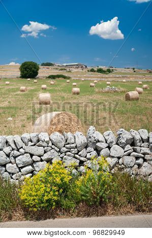 Sicily Landscapes