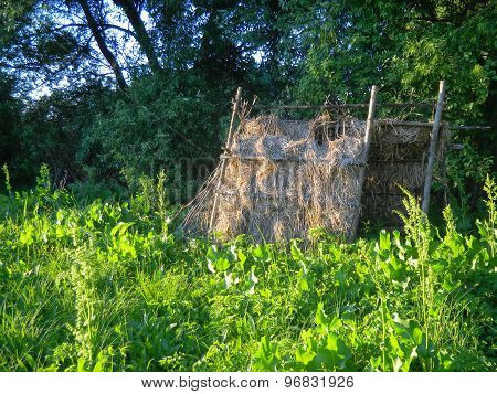 Hut