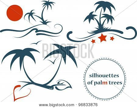 Silhouettes Of Palm Trees