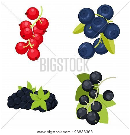 Berries