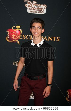 LOS ANGELES - JUL 24:  Cameron Boyce at the 