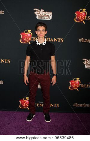 LOS ANGELES - JUL 24:  Cameron Boyce at the 