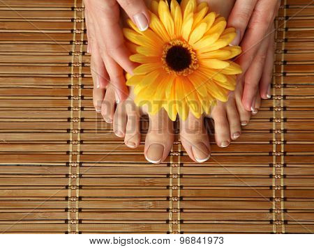 Care for beautiful woman legs with flower