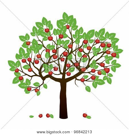 Tree, Green Leafs And Red Apples. Vector Illustration.