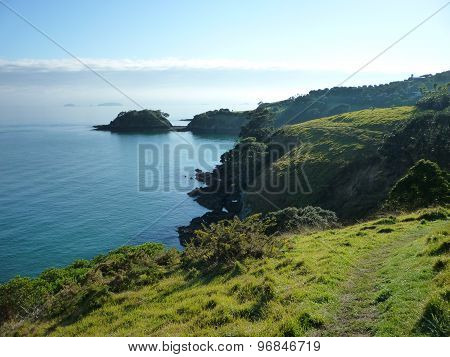 Waiheke Island coastline at low tide
