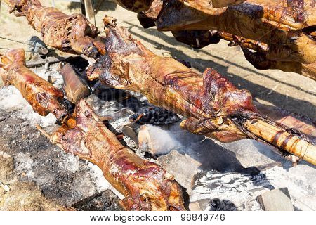 Lambs On Spits Roasting