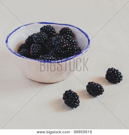 Juicy blackberries