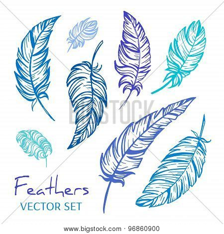 Vector feathers set.