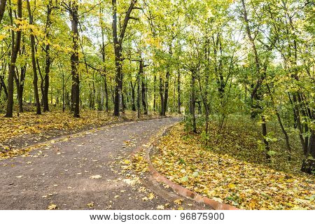 Pathway in the autumn park