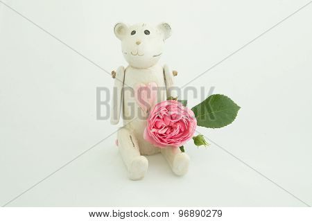 White Teddy Bear
